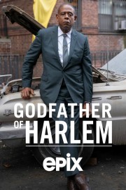 Godfather of Harlem-voll