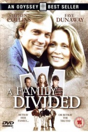 A Family Divided-voll