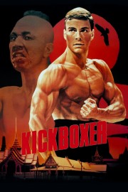 Kickboxer-voll