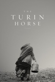 The Turin Horse-voll