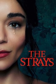 The Strays-voll