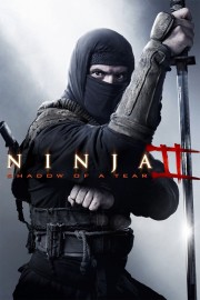 Ninja: Shadow of a Tear-voll