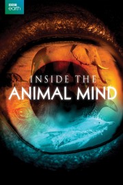 Inside the Animal Mind-voll