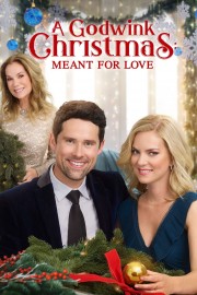 A Godwink Christmas: Meant For Love-voll