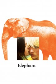 Elephant-voll