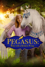 Pegasus: Pony With a Broken Wing-voll