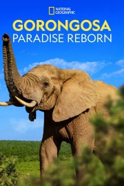 Gorongosa: Paradise Reborn-voll