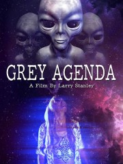 Grey Agenda-voll