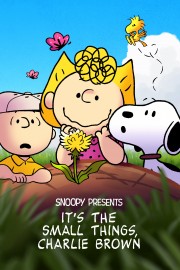 Snoopy Presents: It’s the Small Things, Charlie Brown-voll