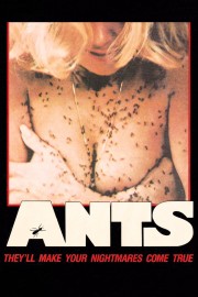 Ants-voll
