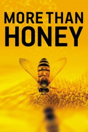 More Than Honey-voll