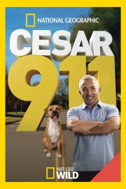 Cesar 911-voll