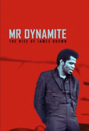 Mr. Dynamite - The Rise of James Brown-voll