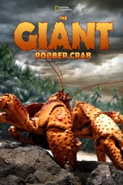 The Giant Robber Crab-voll