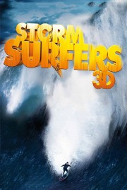 Storm Surfers 3D-voll
