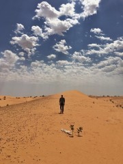 Sahara-voll