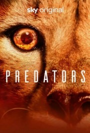 Predators-voll