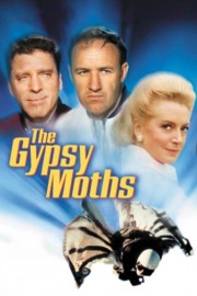 The Gypsy Moths-voll