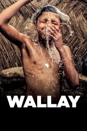 Wallay-voll