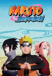 Naruto Shippūden-voll