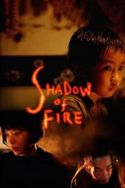 Shadow of Fire-voll