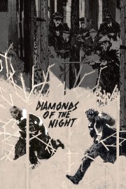 Diamonds of the Night-voll