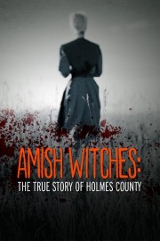 Amish Witches: The True Story of Holmes County-voll