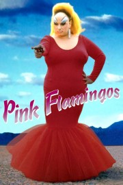Pink Flamingos-voll