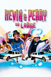 Kevin & Perry Go Large-voll