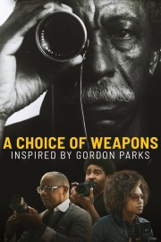 A Choice of Weapons: Inspired by Gordon Parks-voll