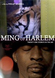 Ming of Harlem: Twenty One Storeys in the Air-voll