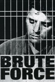 Brute Force-voll