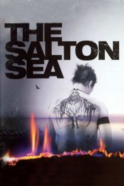 The Salton Sea-voll