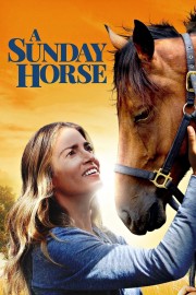 A Sunday Horse-voll