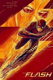 The Flash-voll