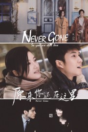 Never Gone-voll