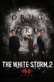The White Storm 2: Drug Lords-voll