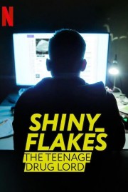 Shiny_Flakes: The Teenage Drug Lord-voll