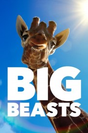 Big Beasts-voll