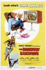 The Barefoot Executive-voll