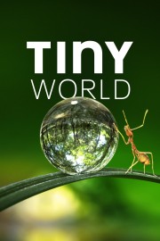 Tiny World-voll
