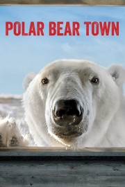 Polar Bear Town-voll