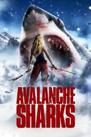 Avalanche Sharks-voll