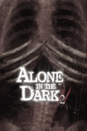 Alone in the Dark 2-voll
