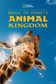 Magic of Disney's Animal Kingdom-voll