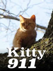 Kitty 911-voll