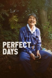 Perfect Days-voll