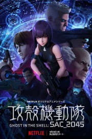 Ghost in the Shell: SAC_2045-voll