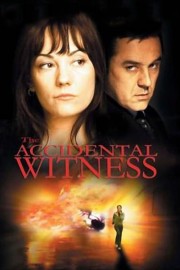 The Accidental Witness-voll
