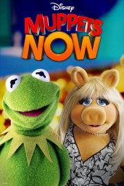 Muppets Now-voll